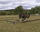 Click image for larger version. 

Name:	plough horses.jpg 
Views:	234 
Size:	414.6 KB 
ID:	1463