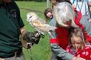 Click image for larger version. 

Name:	Hawk Trust Aug 09 084.JPG 
Views:	256 
Size:	32.1 KB 
ID:	16022