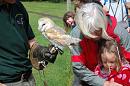 Click image for larger version. 

Name:	Hawk Trust Aug 09 084.JPG 
Views:	210 
Size:	145.9 KB 
ID:	16032