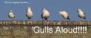 Click image for larger version. 

Name:	SH5268 -1011 10-Gulls Aloud TEXT.jpg 
Views:	357 
Size:	308.0 KB 
ID:	16297
