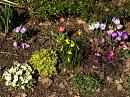 Click image for larger version. 

Name:	Spring flowers.JPG 
Views:	461 
Size:	519.1 KB 
ID:	16810
