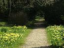 Click image for larger version. 

Name:	Brimstone Butterfly crossing path.JPG 
Views:	416 
Size:	588.4 KB 
ID:	16937