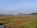 Click image for larger version. 

Name:	1. Looking across the marsh to Priory Church and the posh marina village at priory Quay.JPG 
Views:	582 
Size:	458.2 KB 
ID:	18086