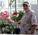 Click image for larger version. 

Name:	5. Mr Nick amongst his Nerines.JPG 
Views:	383 
Size:	295.0 KB 
ID:	18134