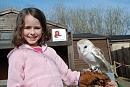 Click image for larger version. 

Name:	Amy with barn owl.jpg 
Views:	427 
Size:	455.7 KB 
ID:	18609