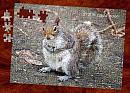 Click image for larger version. 

Name:	Grey Squirrel Puzzel Efect.jpg 
Views:	195 
Size:	108.4 KB 
ID:	416