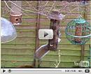 Click image for larger version. 

Name:	squirrel_feeder.jpg 
Views:	381 
Size:	34.8 KB 
ID:	7139
