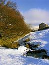 Click image for larger version. 

Name:	Snow-in-Swaledale-3.jpg 
Views:	188 
Size:	214.8 KB 
ID:	7498