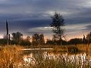 Click image for larger version. 

Name:	Firth-Moor-nature-reserve.jpg 
Views:	244 
Size:	211.3 KB 
ID:	7737