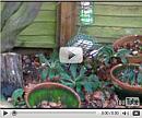 Click image for larger version. 

Name:	ltt_video.jpg 
Views:	183 
Size:	35.4 KB 
ID:	8023