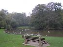 Click image for larger version. 

Name:	New Milton Duck Pond.jpg 
Views:	313 
Size:	178.5 KB 
ID:	8617