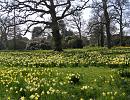 Click image for larger version. 

Name:	Beaulieu dafs 4.JPG 
Views:	333 
Size:	587.5 KB 
ID:	16925