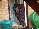 Click image for larger version. 

Name:	Bird table cobweb 2.JPG 
Views:	157 
Size:	371.4 KB 
ID:	19589