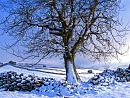 Click image for larger version. 

Name:	Snow-in-Swaledale-1.jpg 
Views:	191 
Size:	309.2 KB 
ID:	7496