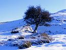 Click image for larger version. 

Name:	Snow-in-Swaledale-2.jpg 
Views:	179 
Size:	218.0 KB 
ID:	7497