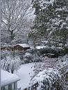 Click image for larger version. 

Name:	01. Snow.JPG 
Views:	340 
Size:	608.7 KB 
ID:	16428