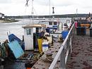 Click image for larger version. 

Name:	3 Landing fish on The Run at Mudeford Quay.JPG 
Views:	363 
Size:	431.6 KB 
ID:	19243