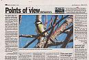 Click image for larger version. 

Name:	Great tit news cutting.jpg 
Views:	125 
Size:	346.7 KB 
ID:	7716