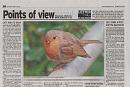 Click image for larger version. 

Name:	Robin in print.jpg 
Views:	143 
Size:	127.0 KB 
ID:	4253
