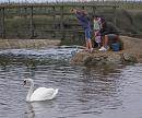 Click image for larger version. 

Name:	Mute Swan 4.JPG 
Views:	210 
Size:	399.8 KB 
ID:	15799